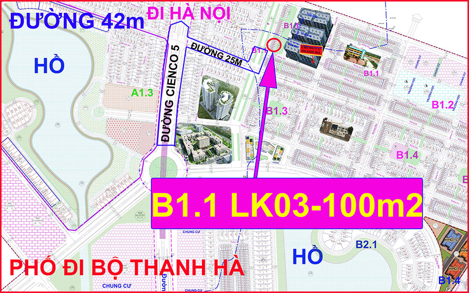 ban-lien-ke-thanh-ha-khu-b1.1-dien-tich-100m2