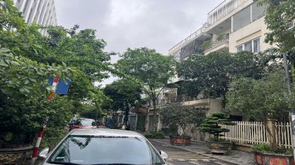 Cho thuê Liền kề Văn Phú TT10 diện tích 90m2 mặt tiền 4,5m hướng Đông Nam đường 12m xây hoàn thiện đẹp 4 tầng view nhìn sang trường quốc tế Marie Curie #H5280.450
